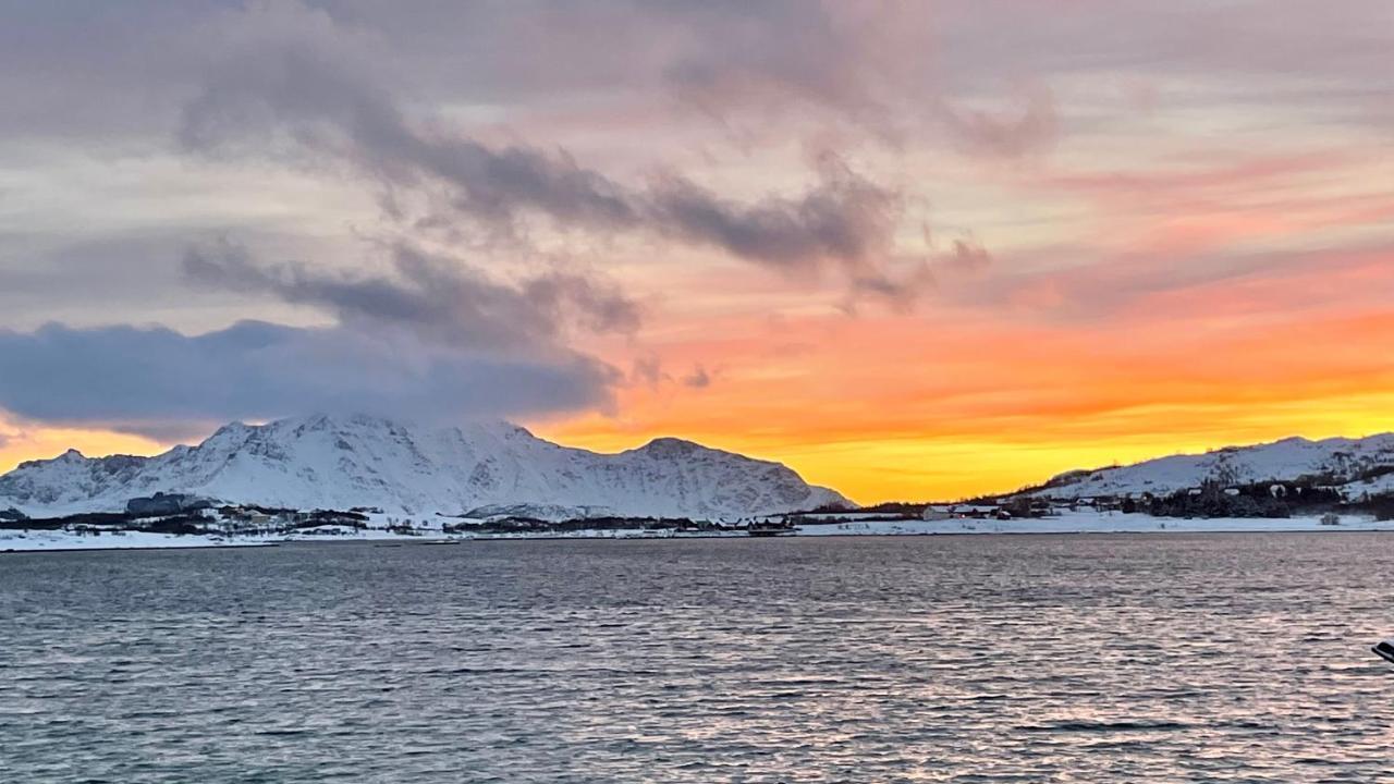 Lofoten Havfiske Leknes Luaran gambar