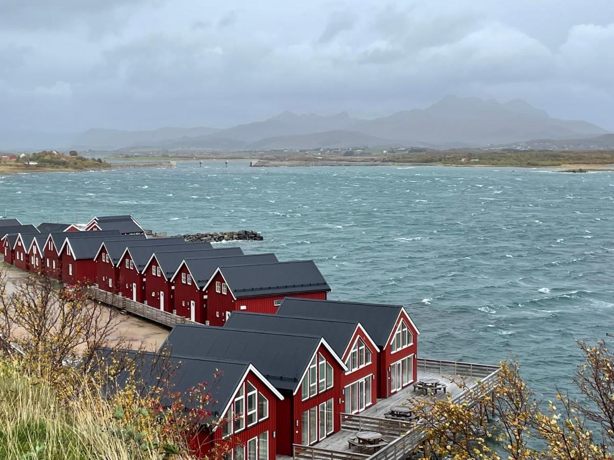 Lofoten Havfiske Leknes Luaran gambar