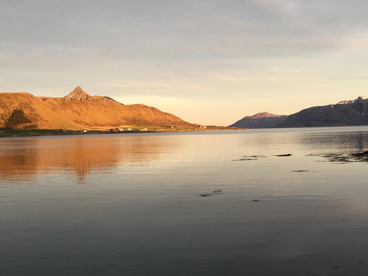 Lofoten Havfiske Leknes Luaran gambar
