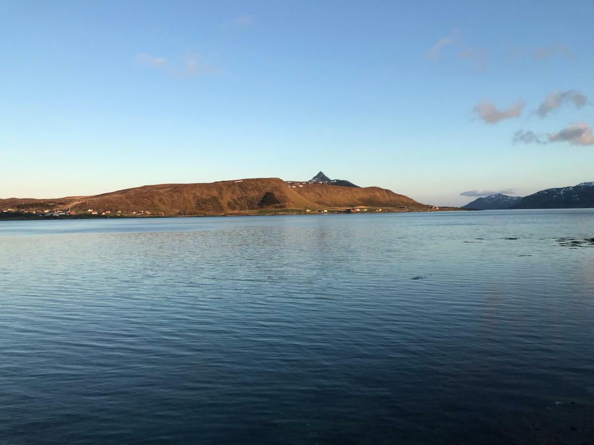 Lofoten Havfiske Leknes Luaran gambar
