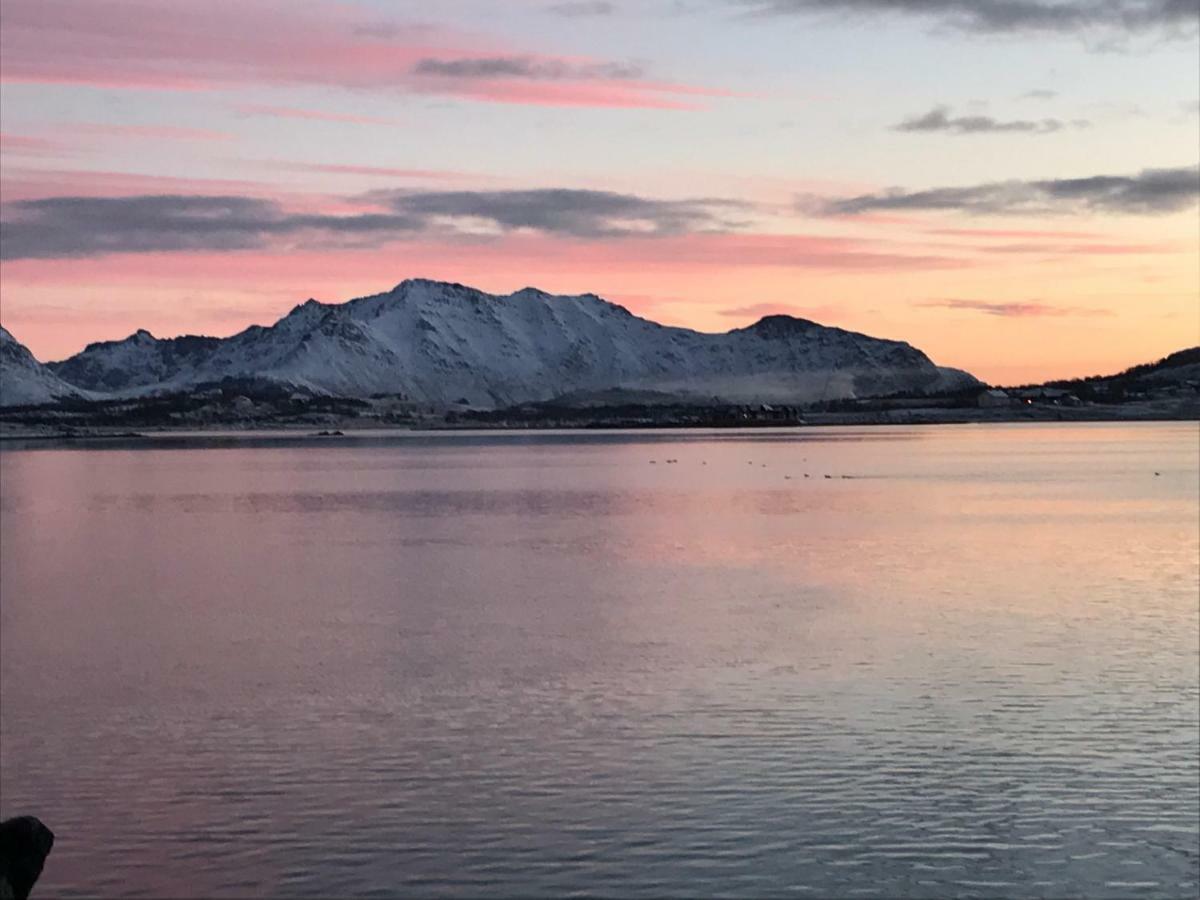 Lofoten Havfiske Leknes Luaran gambar