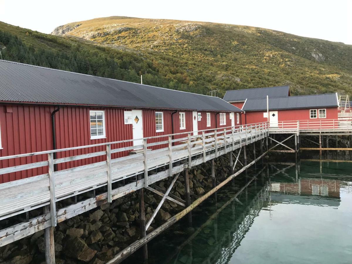 Lofoten Havfiske Leknes Luaran gambar