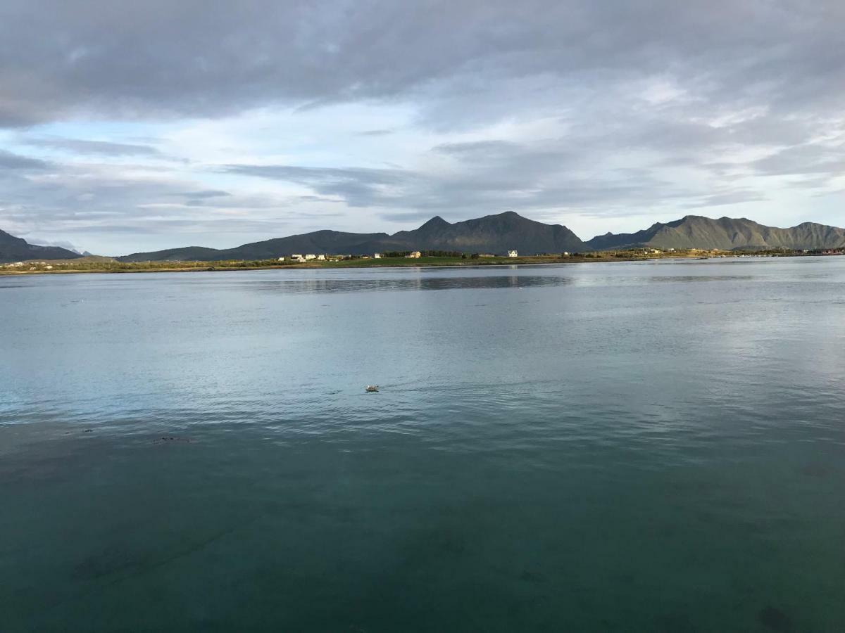 Lofoten Havfiske Leknes Luaran gambar